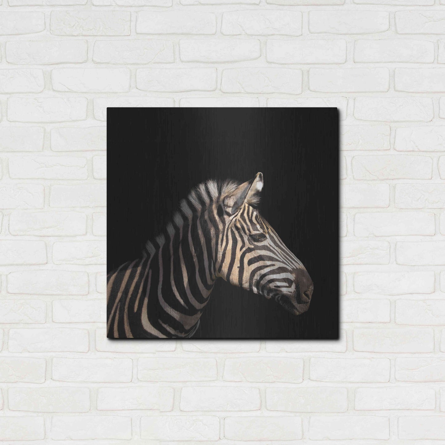 Luxe Metal Art 'Zebra' by Epic Portfolio Metal Wall Art,24x24