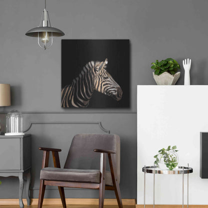 Luxe Metal Art 'Zebra' by Epic Portfolio Metal Wall Art,24x24