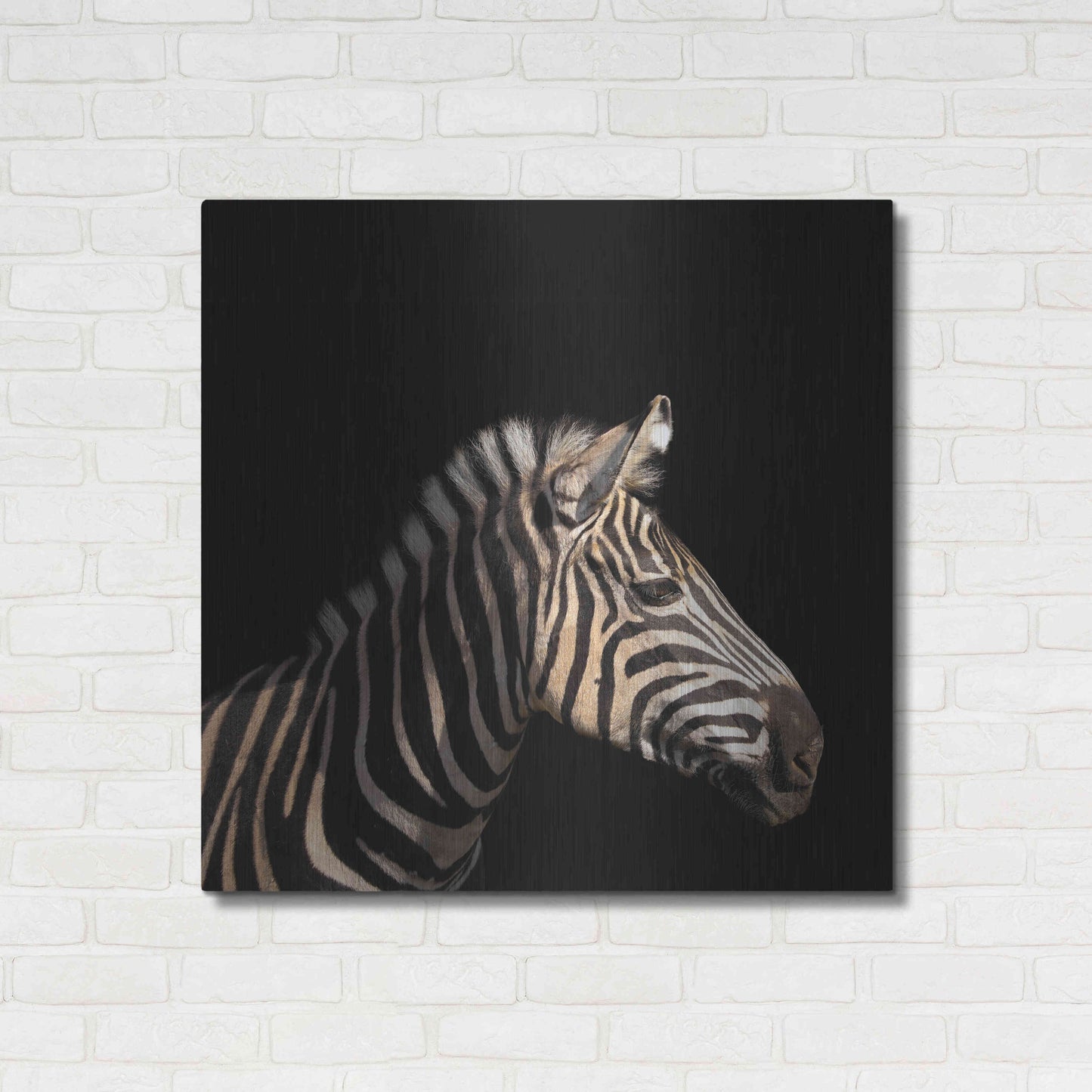 Luxe Metal Art 'Zebra' by Epic Portfolio Metal Wall Art,36x36
