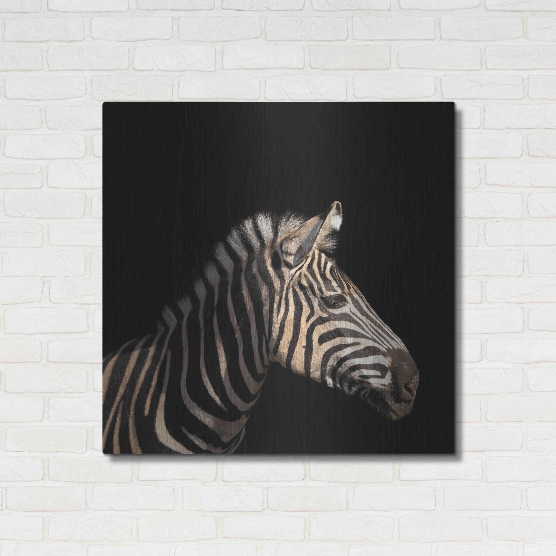Luxe Metal Art 'Zebra' by Epic Portfolio Metal Wall Art,36x36