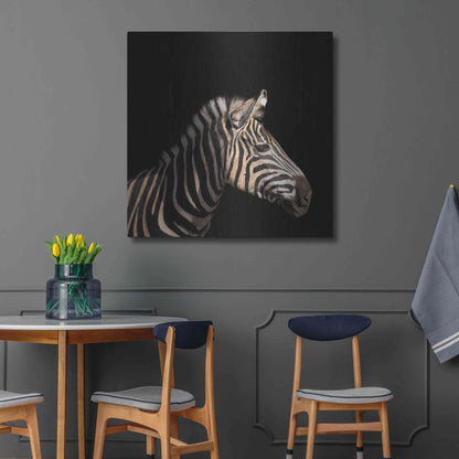 Luxe Metal Art 'Zebra' by Epic Portfolio Metal Wall Art,36x36