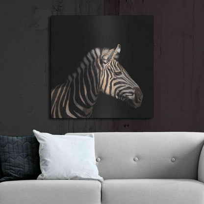 Luxe Metal Art 'Zebra' by Epic Portfolio Metal Wall Art,36x36