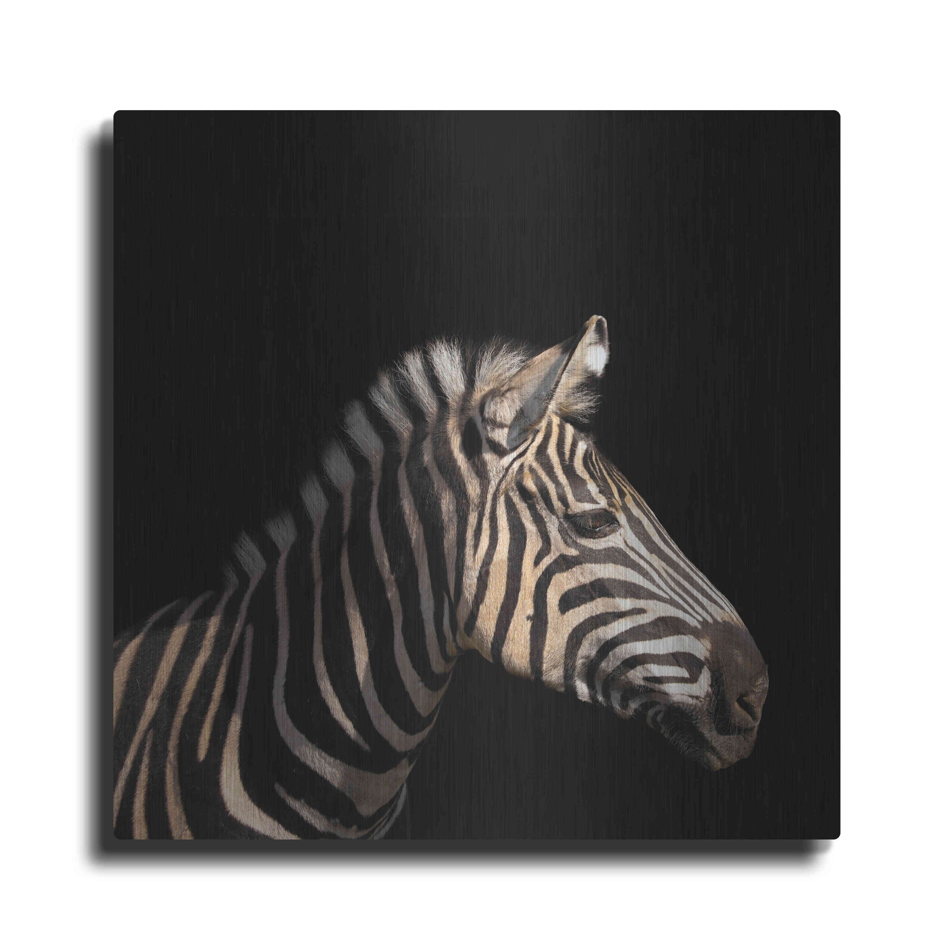 Luxe Metal Art 'Zebra' by Epic Portfolio Metal Wall Art