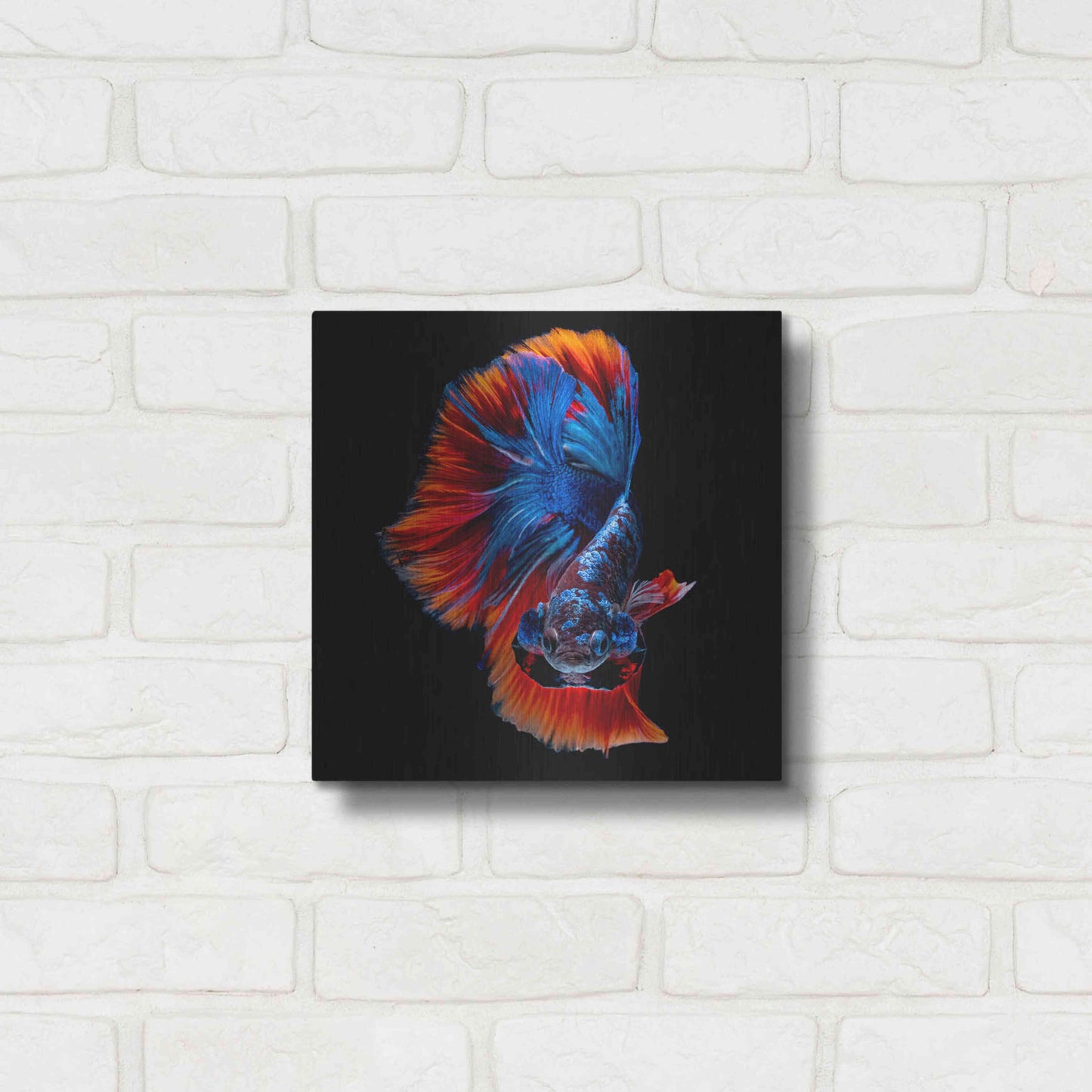 Luxe Metal Art 'Flamenco Fighter' by Epic Portfolio, Metal Wall Art,12x12