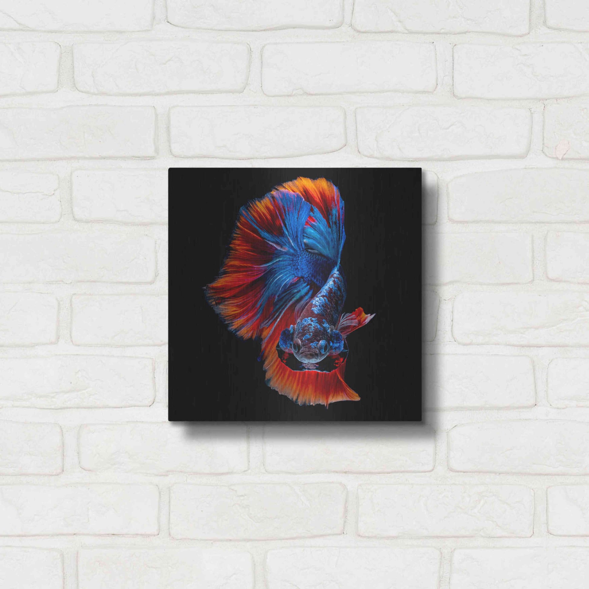 Luxe Metal Art 'Flamenco Fighter' by Epic Portfolio, Metal Wall Art,12x12