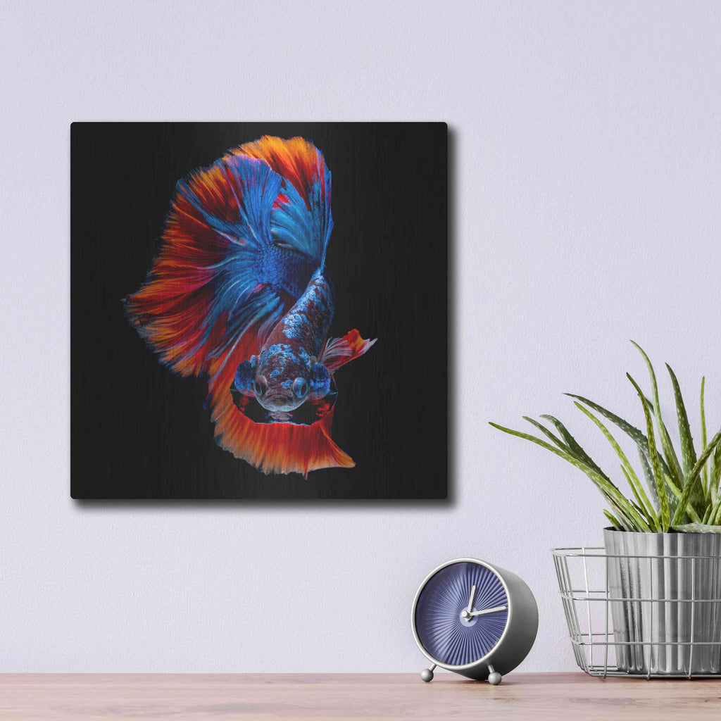 Luxe Metal Art 'Flamenco Fighter' by Epic Portfolio, Metal Wall Art,12x12