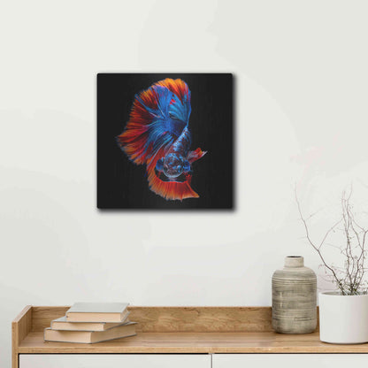 Luxe Metal Art 'Flamenco Fighter' by Epic Portfolio, Metal Wall Art,12x12