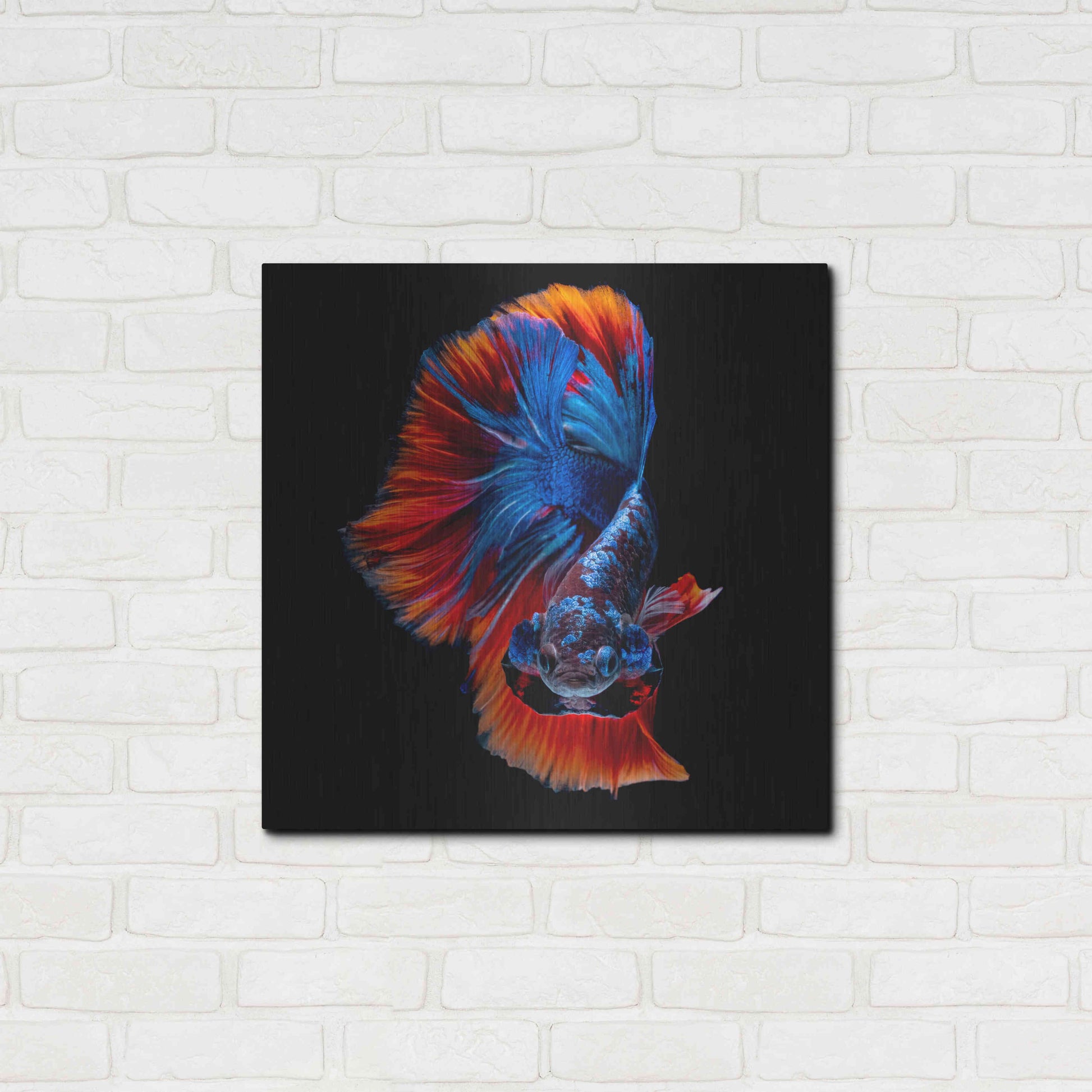 Luxe Metal Art 'Flamenco Fighter' by Epic Portfolio, Metal Wall Art,24x24