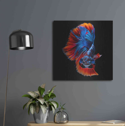 Luxe Metal Art 'Flamenco Fighter' by Epic Portfolio, Metal Wall Art,24x24