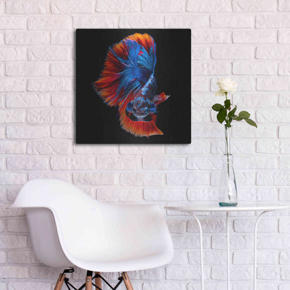 Luxe Metal Art 'Flamenco Fighter' by Epic Portfolio, Metal Wall Art,24x24