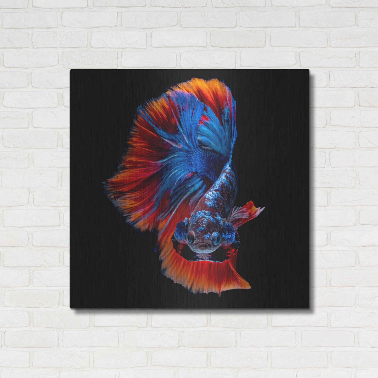 Luxe Metal Art 'Flamenco Fighter' by Epic Portfolio, Metal Wall Art,36x36