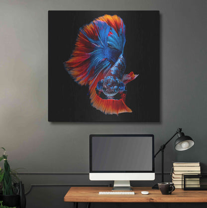 Luxe Metal Art 'Flamenco Fighter' by Epic Portfolio, Metal Wall Art,36x36