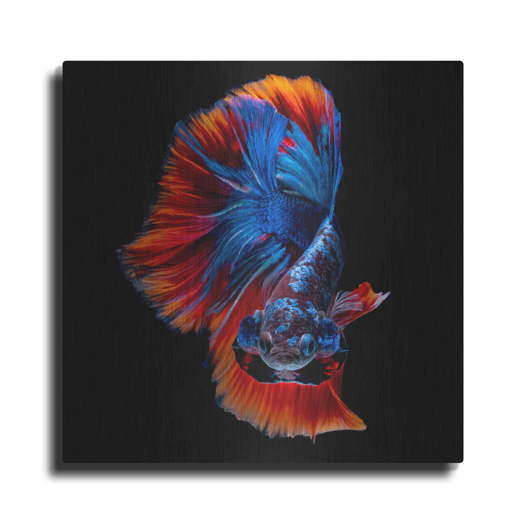 Luxe Metal Art 'Flamenco Fighter' by Epic Portfolio, Metal Wall Art