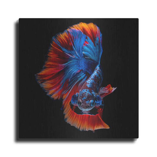 Luxe Metal Art 'Flamenco Fighter' by Epic Portfolio, Metal Wall Art