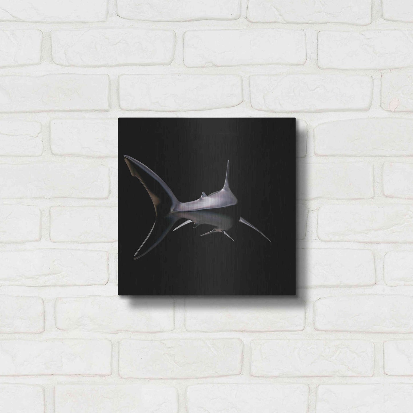 Luxe Metal Art 'Jaws' by Epic Portfolio, Metal Wall Art,12x12