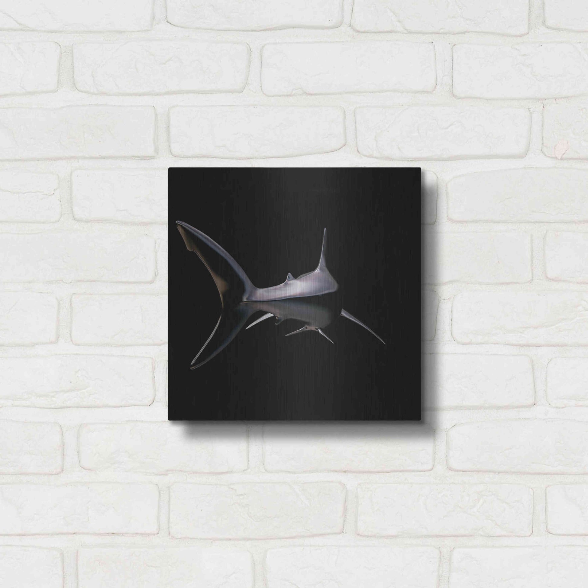 Luxe Metal Art 'Jaws' by Epic Portfolio, Metal Wall Art,12x12