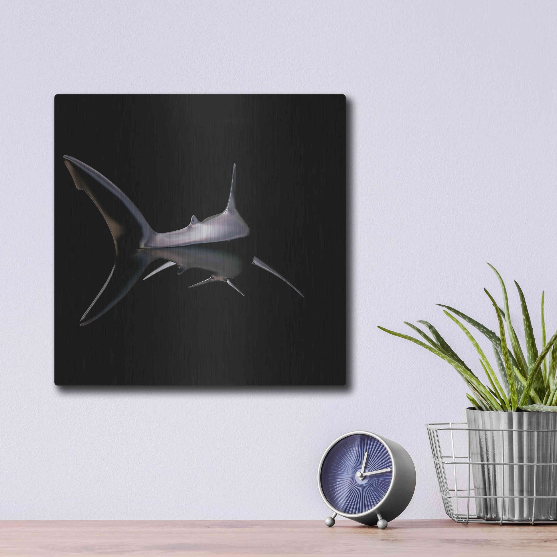 Luxe Metal Art 'Jaws' by Epic Portfolio, Metal Wall Art,12x12