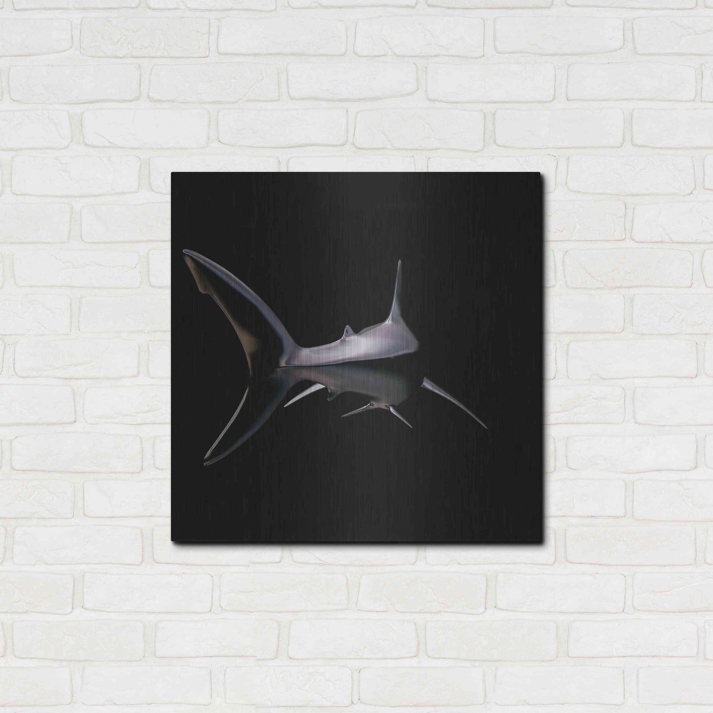 Luxe Metal Art 'Jaws' by Epic Portfolio, Metal Wall Art,24x24