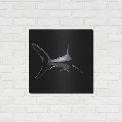 Luxe Metal Art 'Jaws' by Epic Portfolio, Metal Wall Art,24x24