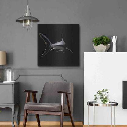 Luxe Metal Art 'Jaws' by Epic Portfolio, Metal Wall Art,24x24