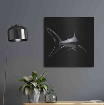 Luxe Metal Art 'Jaws' by Epic Portfolio, Metal Wall Art,24x24