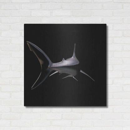 Luxe Metal Art 'Jaws' by Epic Portfolio, Metal Wall Art,36x36