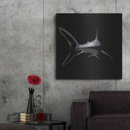 Luxe Metal Art 'Jaws' by Epic Portfolio, Metal Wall Art,36x36