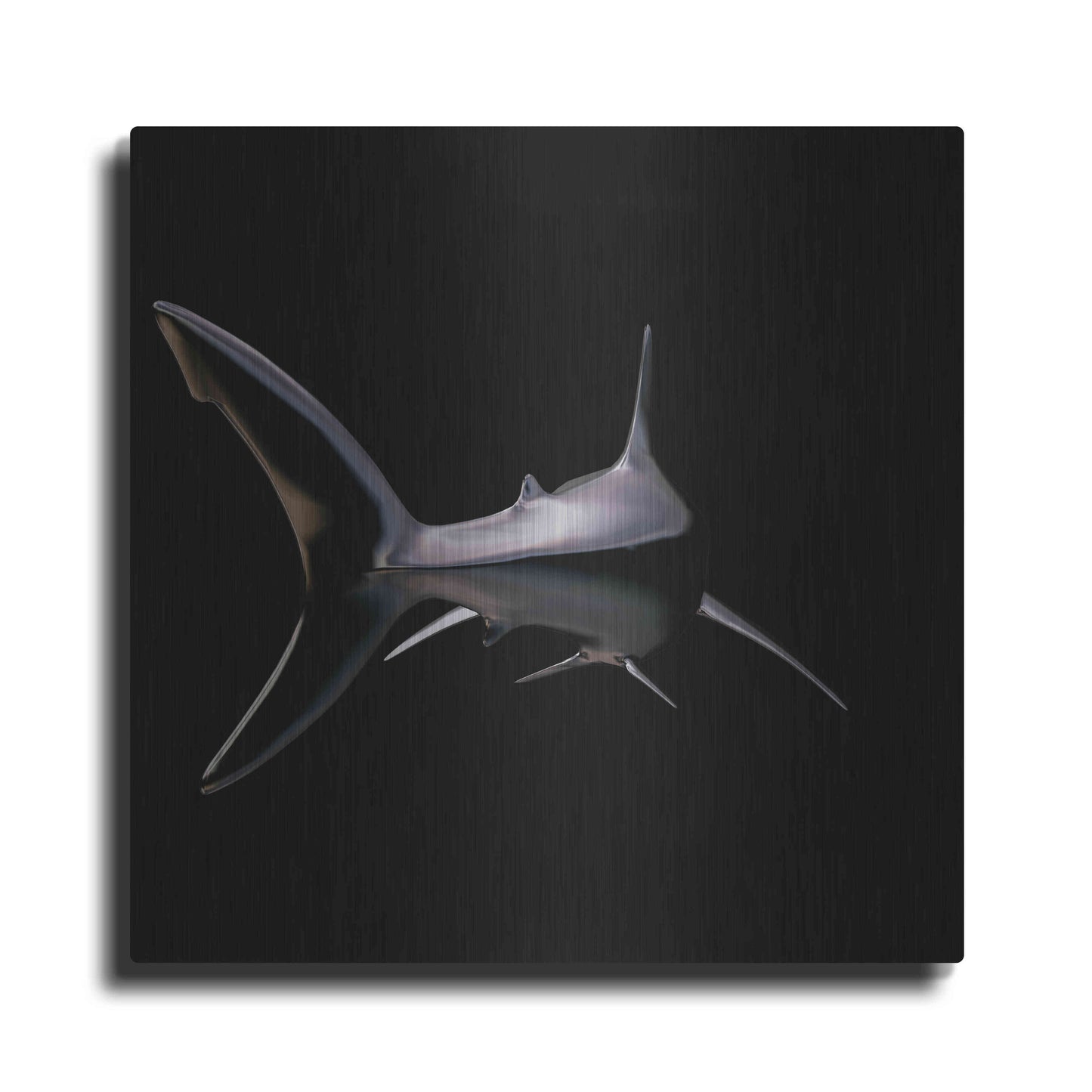 Luxe Metal Art 'Jaws' by Epic Portfolio, Metal Wall Art