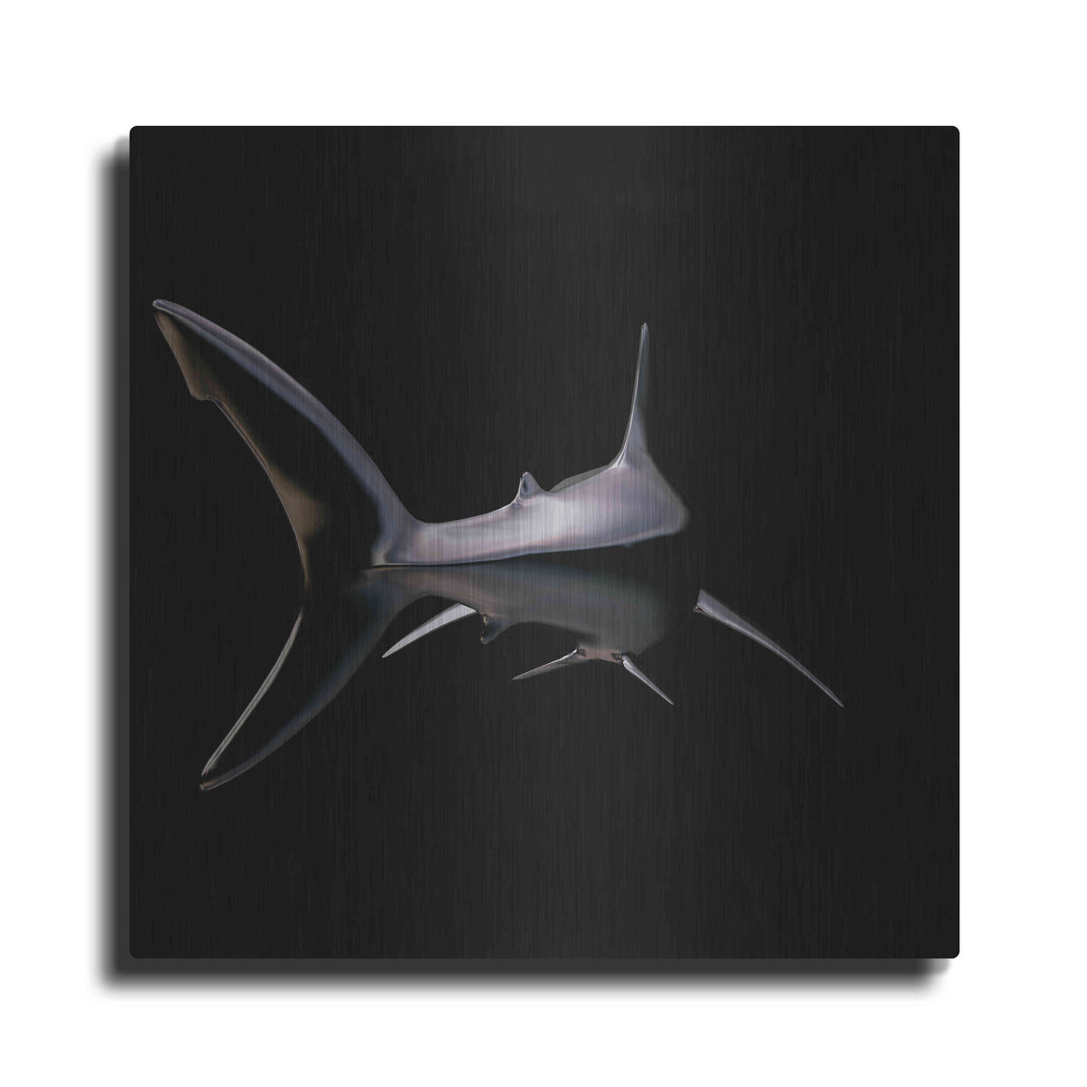 Luxe Metal Art 'Jaws' by Epic Portfolio, Metal Wall Art