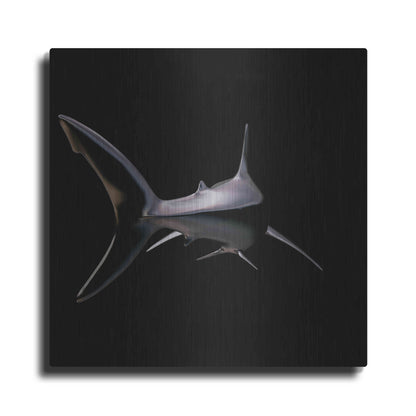 Luxe Metal Art 'Jaws' by Epic Portfolio, Metal Wall Art