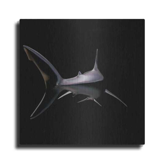 Luxe Metal Art 'Jaws' by Epic Portfolio, Metal Wall Art