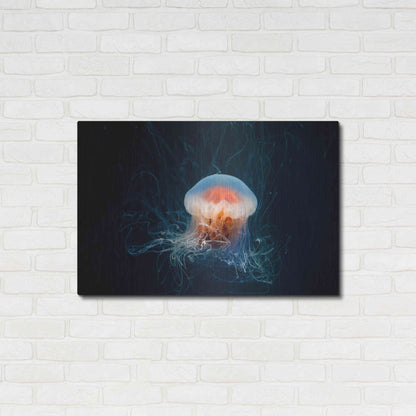 Luxe Metal Art 'Peachy Jellyfish' by Epic Portfolio, Metal Wall Art,36x24
