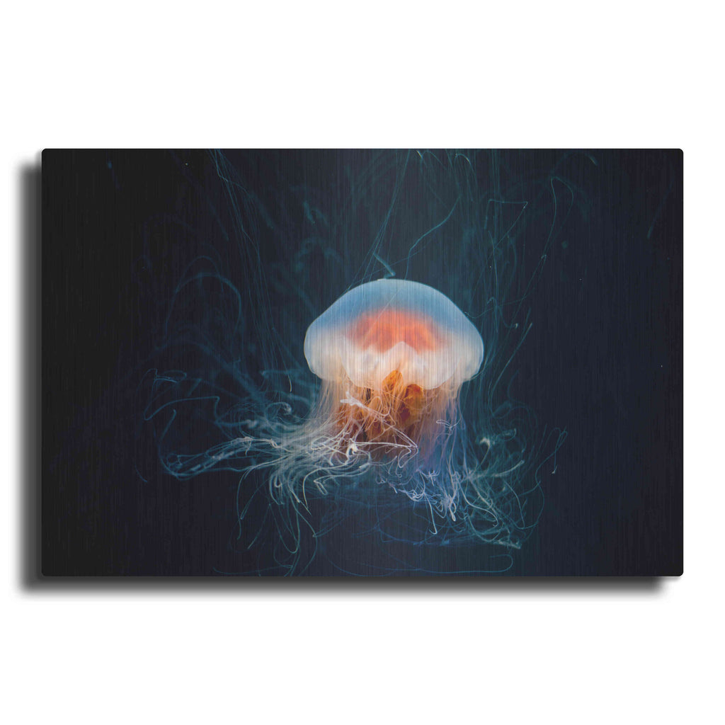 Luxe Metal Art 'Peachy Jellyfish' by Epic Portfolio, Metal Wall Art