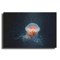 Luxe Metal Art 'Peachy Jellyfish' by Epic Portfolio, Metal Wall Art