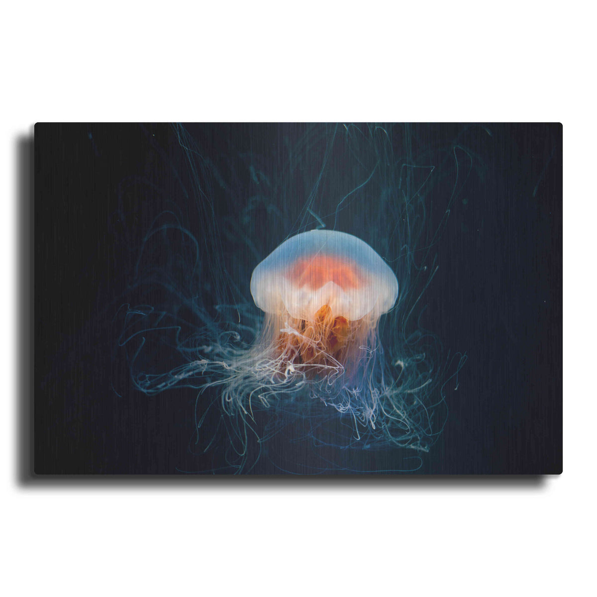 Luxe Metal Art 'Peachy Jellyfish' by Epic Portfolio, Metal Wall Art