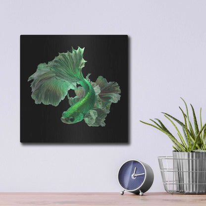 Luxe Metal Art 'Emerald Fighter' by Epic Portfolio, Metal Wall Art,12x12