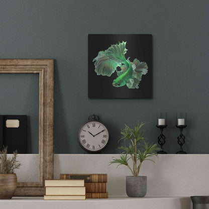 Luxe Metal Art 'Emerald Fighter' by Epic Portfolio, Metal Wall Art,12x12