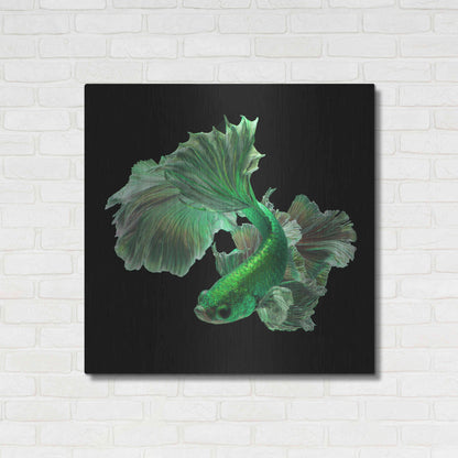 Luxe Metal Art 'Emerald Fighter' by Epic Portfolio, Metal Wall Art,36x36