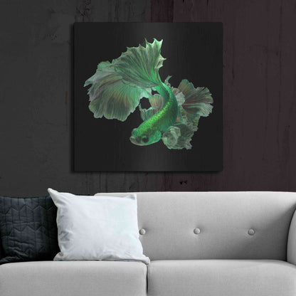 Luxe Metal Art 'Emerald Fighter' by Epic Portfolio, Metal Wall Art,36x36
