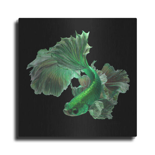 Luxe Metal Art 'Emerald Fighter' by Epic Portfolio, Metal Wall Art