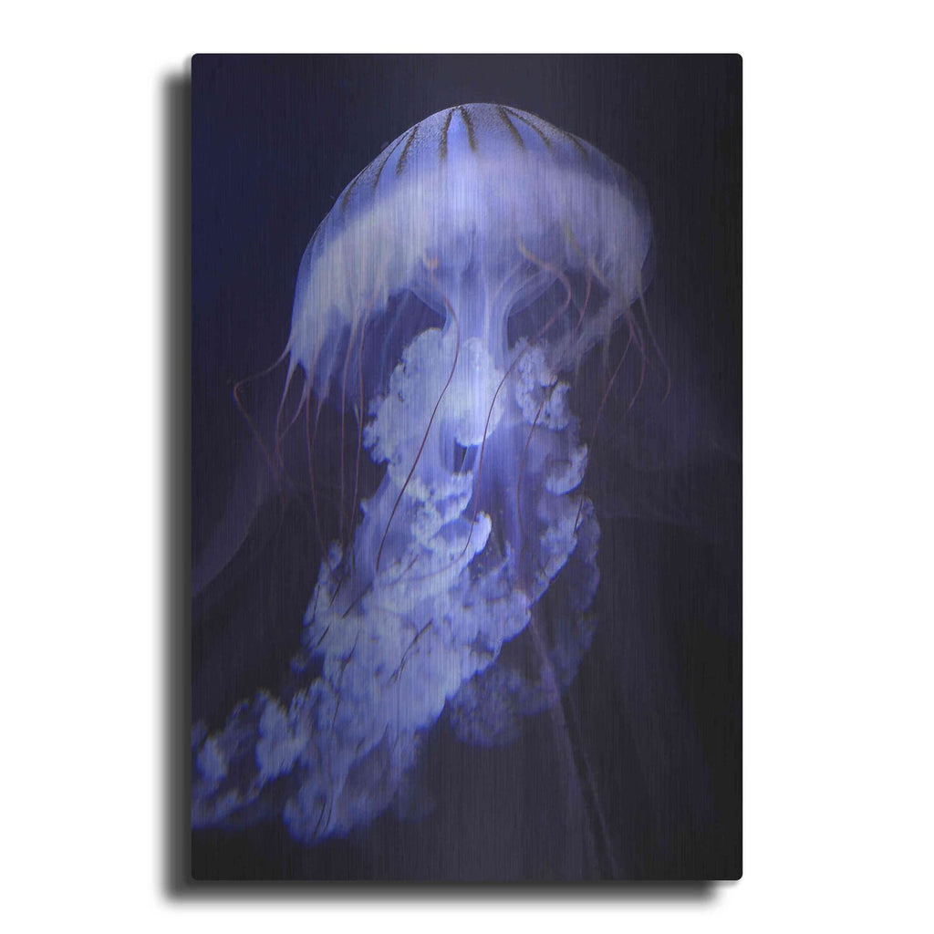 'Gelatinaous, One' by Steve Hunziker – Metal Wall Art