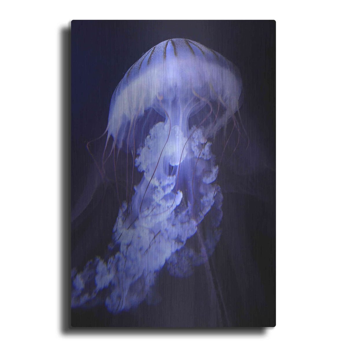 'Gelatinaous, One' by Steve Hunziker – Metal Wall Art