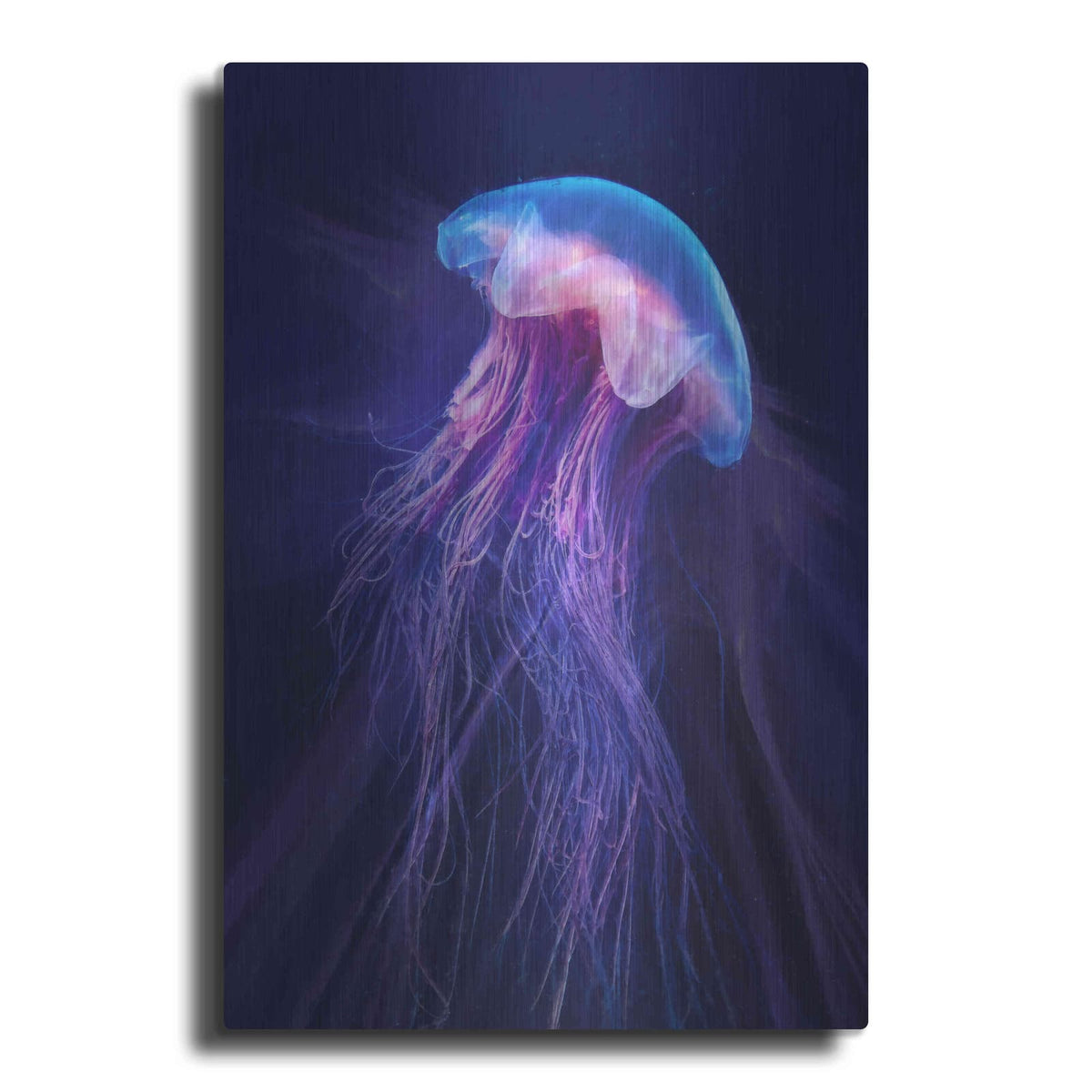 'Gelatinaous, Two' by Steve Hunziker – Metal Wall Art