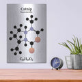 'Catnip Molecule' by Maxim – Metal Wall Art, 12x16 room view