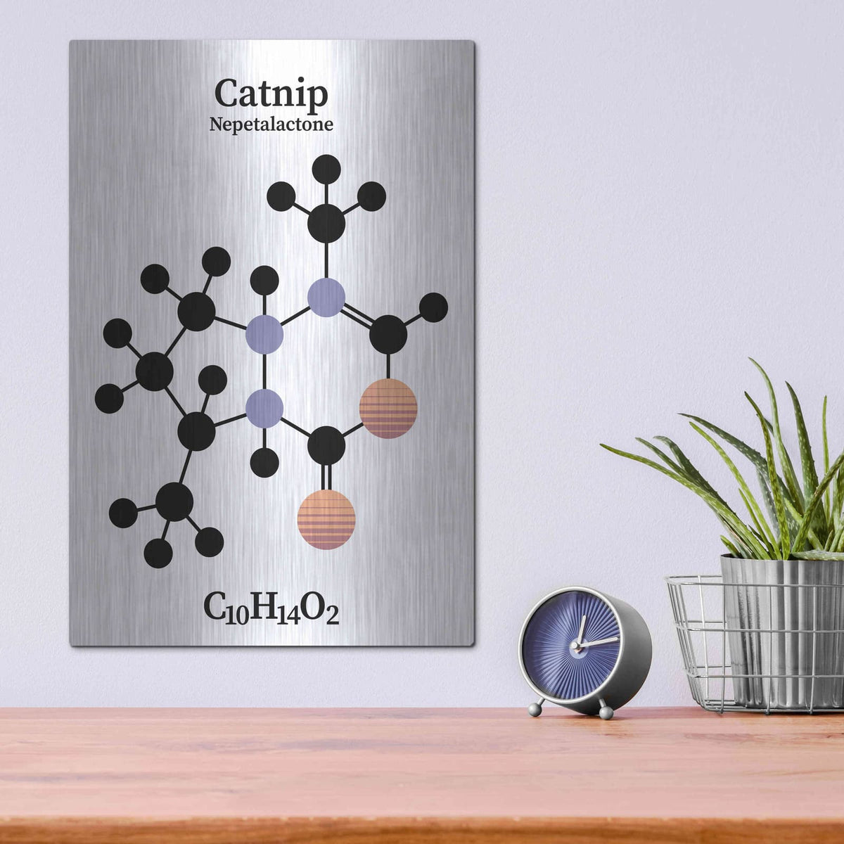 'Catnip Molecule' by Maxim – Metal Wall Art, 12x16 room view
