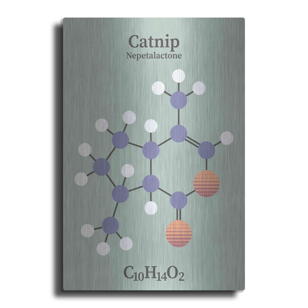 'Catnip Molecule 2' by Maxim – Metal Wall Art