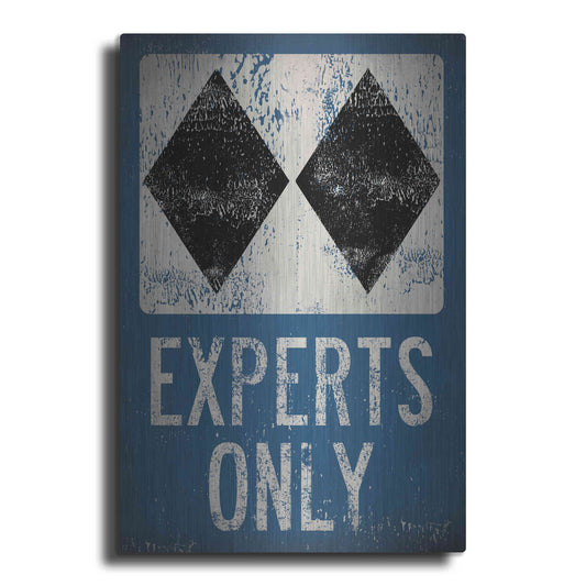 Luxe Metal Art 'Experts Only Blue' by Ryan Fowler, Metal Wall Art