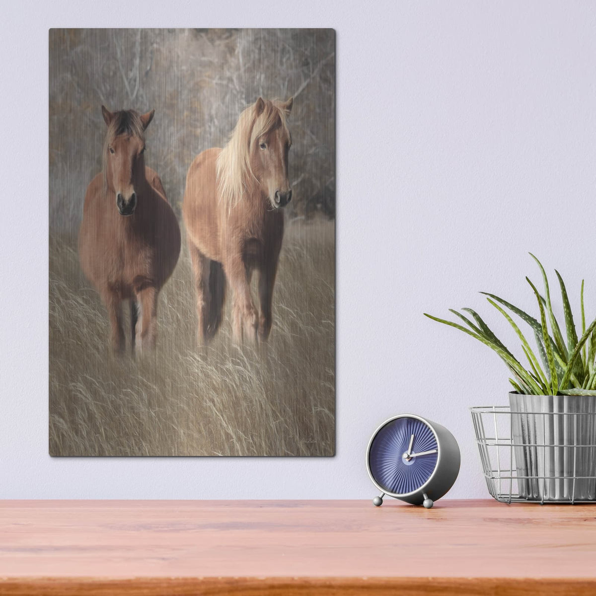 'Assateague Horses IV' by Lori Deiter – Metal Wall Art, 12x16 room view