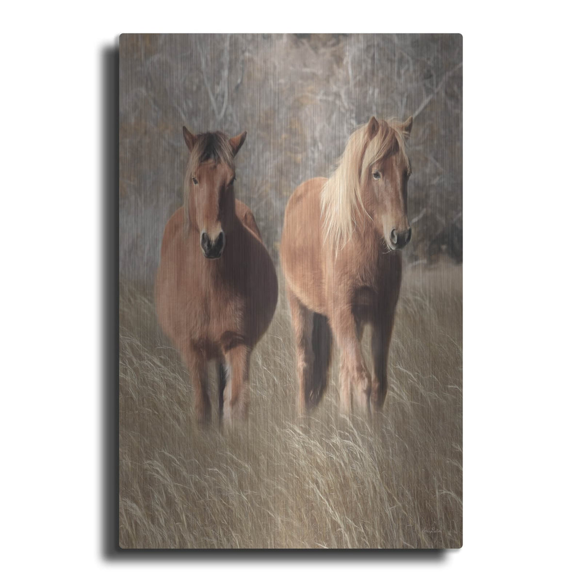 'Assateague Horses IV' by Lori Deiter – Metal Wall Art