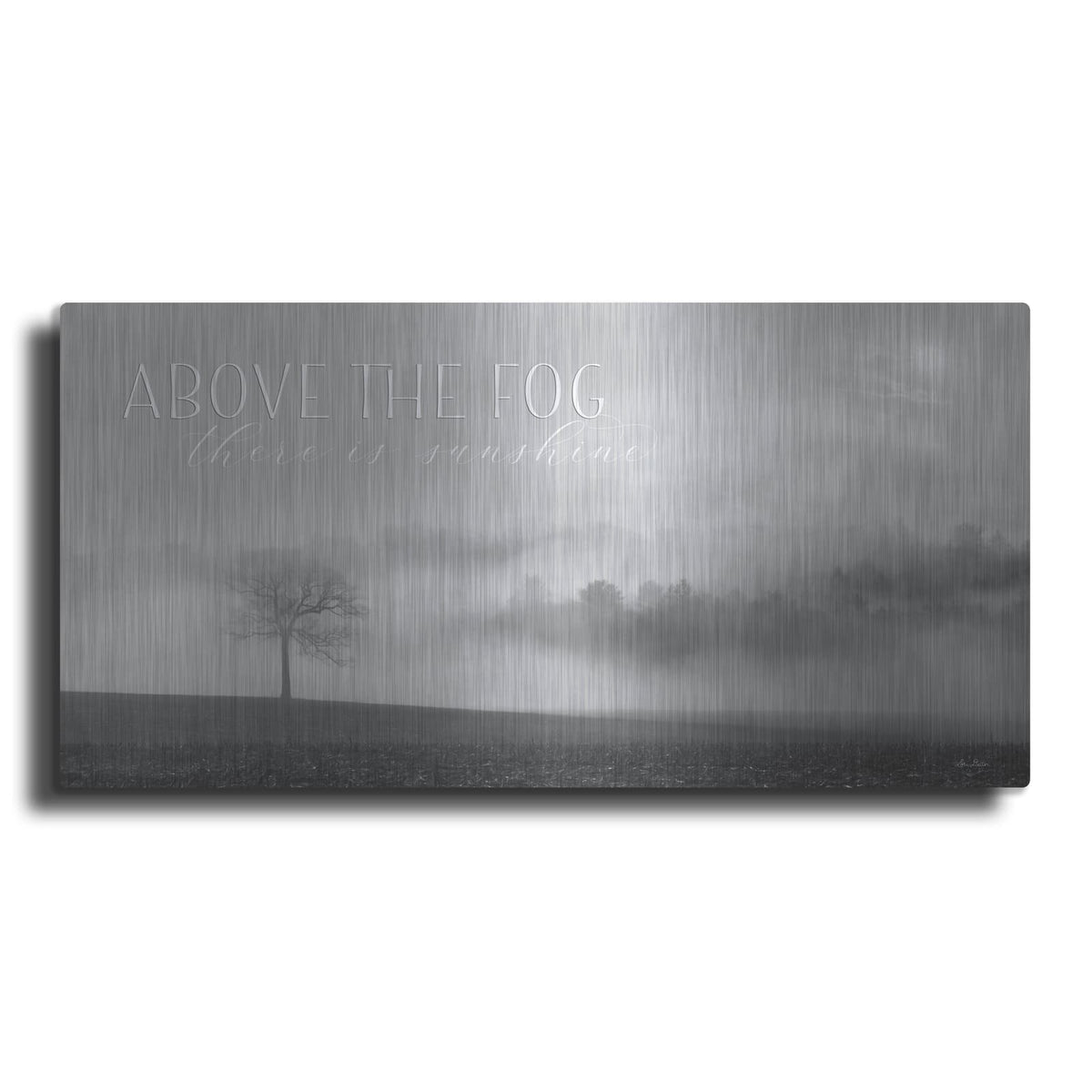 'Above the Fog' by Lori Deiter – Metal Wall Art